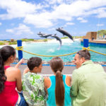sea life park moana oahu hawaii dolphins